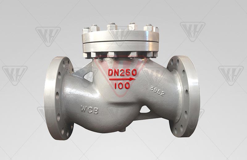 National standard lift check valve